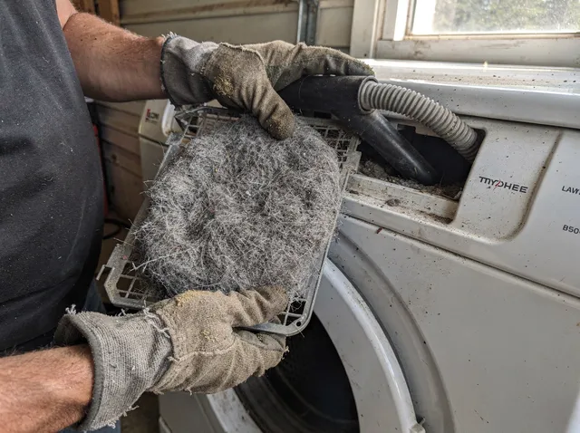Cleaning Dryer Lint Trap in Pine Hills